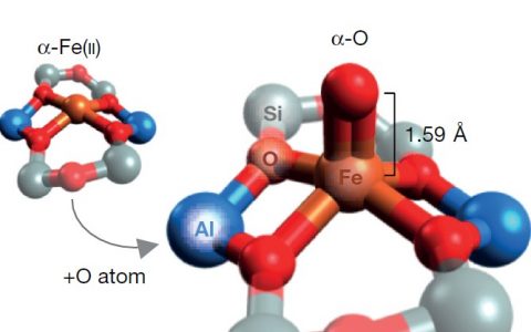 Nature:多相催化——含铁沸石低温催化甲烷羟基化的活性位点