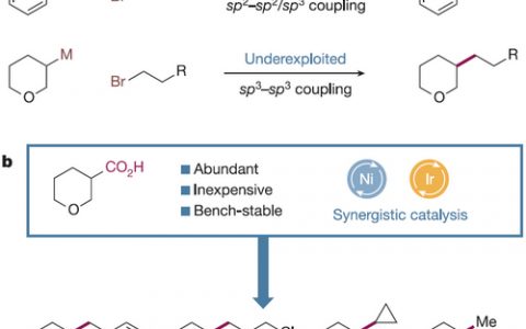 Nature重磅:大牛MacMillan利用光催化还原法首度实现卤代烷与羧酸直接耦合形成sp3-sp3键