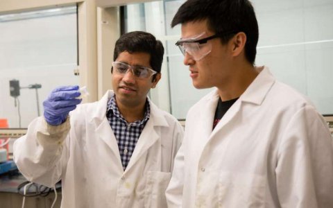 “化腐朽为神奇”——被淘汰的树木能变成汽车零件?