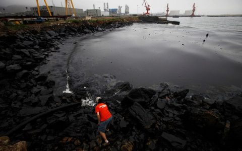 Nanofur——石油泄漏的克星