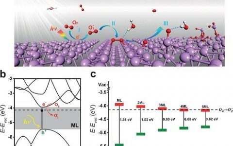 顶刊快讯 | 计算材料前沿最新学术进展精选【第10期】