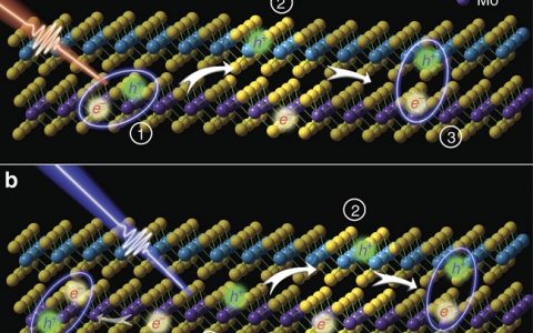 Nat. Commun. 原子级厚度MoS2/WS2异质结中层间热激子的超快形成