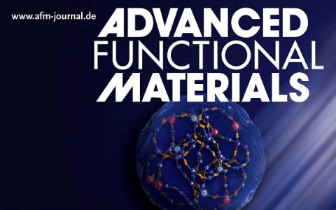 Adv. Funct. Mater. 最新文献快讯专题Volume26 Issue30