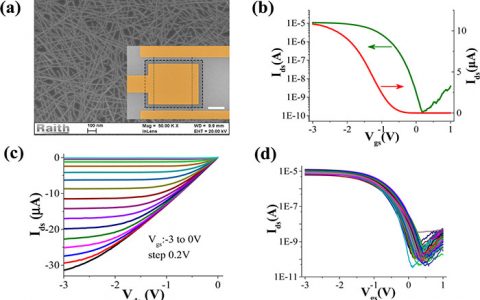 Nano Lett. 高度一致的碳纳米管场效应晶体管和中等规模集成电路
