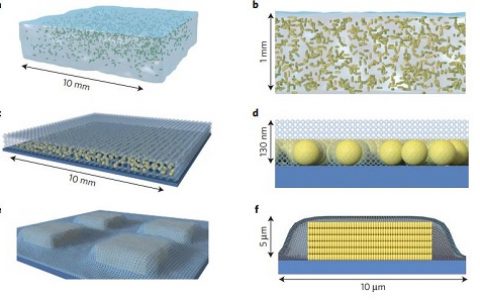 Nat. Mater. 表面增强拉曼散射对细菌交流进行检测及成像