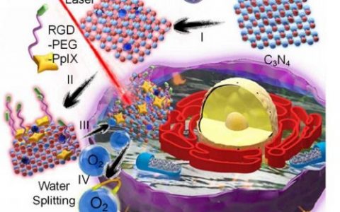 ACS Nano:武大利用碳点修饰C3N4制备裂解水的纳米颗粒提高PDT对肿瘤疗效