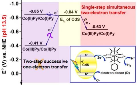 JACS: 大连化物所-强碱条件下从半导体CdS到分子催化剂CoPy的单步双电子转移过程