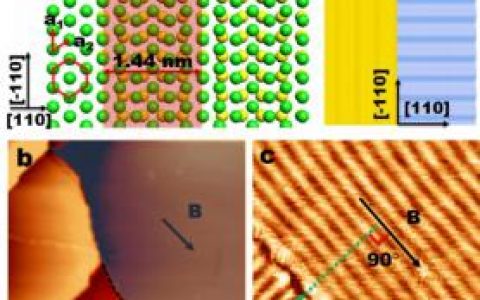顶刊动态丨电子材料前沿最新科研成果精选【第17期】