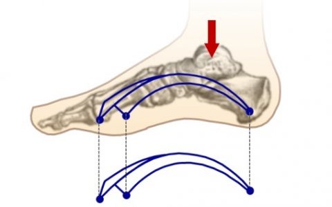 Nat. Commun. 中科大俞书宏课题组成功制备仿生设计超弹性耐疲劳碳纳米组装体材料