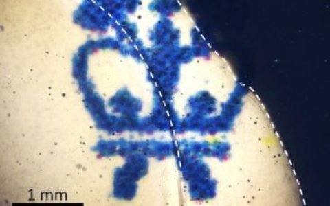 可调节透明度的智能窗?新型光学材料助你实现梦想!