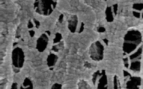 新材料改变生活 斯坦福做出一款“空调衣”