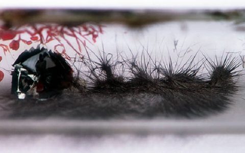 具有DNA双螺旋结构的新型半导体