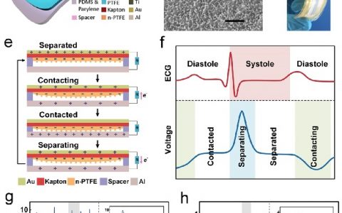 Nano Lett. 用于实时生物医学监测的自供电一站式多功能可植入摩擦有源传感器