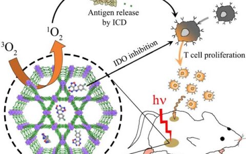 林文斌JACS:一种可治疗结直肠癌的新型MOF材料