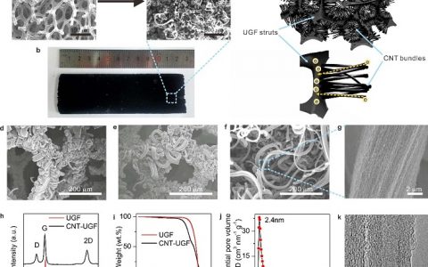 Adv. Mater. 中科大构筑新型三维共价连接的sp2杂化纳米碳用于锂硫电池正负极集流体