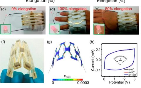 ACS Nano:高伸缩的蜂窝结构微型超级电容器阵列用于综合穿戴式电子系统