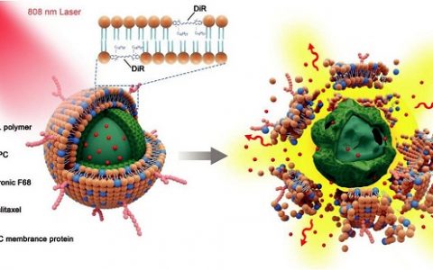 顶刊动态 | Nature子刊/Nano Lett./AFM等生物材料前沿最新科研成果精选【第23期】
