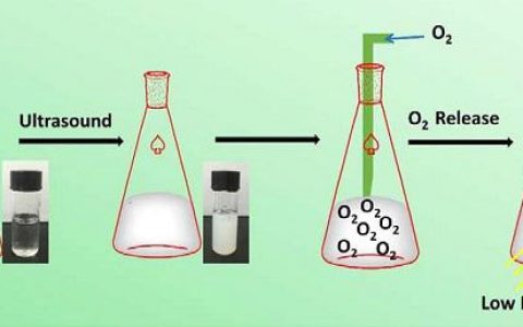 顶刊动态 | Nature子刊/AM/PNAS等生物材料前沿最新科研成果精选【第24期】