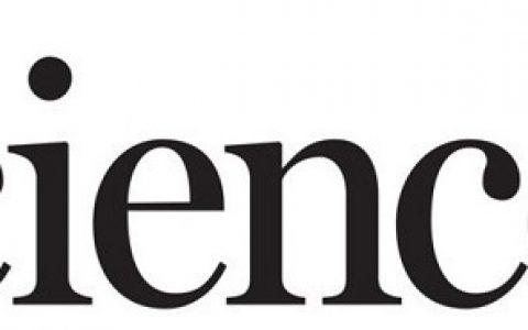 顶刊动态 | Science:8月材料前沿科研成果精选