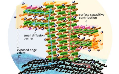 “殊途同归”---不饱和硫边缘效应 & 赝电容机制共建优异的钠离子电池