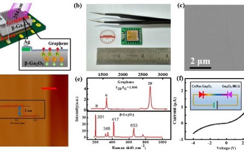 Adv. Mater.合肥工业大学:石墨烯-β-氧化镓肖特基结用于高性能深紫外探测器