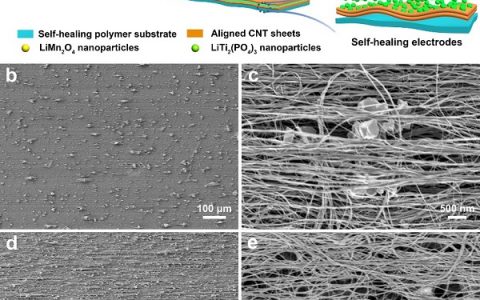 Angew. Chem. Int. Ed.热点 复旦大学:自愈合柔性水系锂离子电池