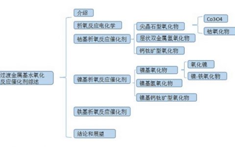 Adv. Mater. 汪尔康综述:过渡金属基水分解反应催化剂