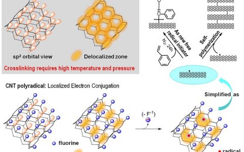 Nano Lett. 中科院苏州纳米所陈立桅团队:碳管上的活性自由基及其室温交联