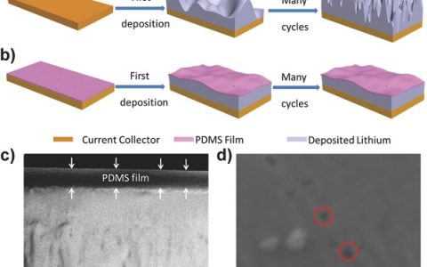Adv. Mater. 南京大学朱嘉教授:高性能锂电池负极的稳定界面薄膜——聚二甲基硅烷