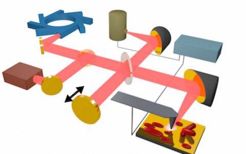 听说显微镜下能观察分子取向了?!