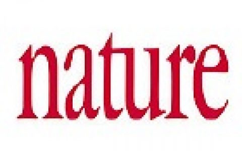 材料人报告丨从Nature文章发文数据,看中国学术崛起之路