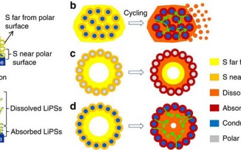 楼雄文&刘利民Nature子刊:TiO@C空心球包裹硫的正极材料用于高性能锂硫电池