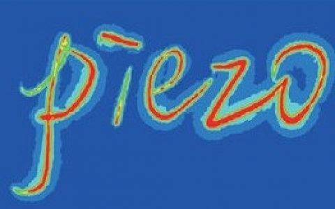 Nat. Rev. Mater. 王中林综述:压电电子学与压电光电子学在自适应电子和光电子器件中的应用