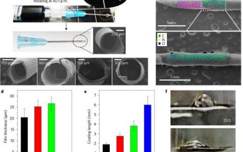 Nature子刊:完全阻止出血的自密封止血针