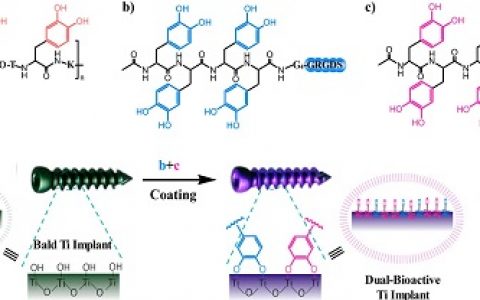 JACS.:苏州大学-贻贝衍生的缩氨酸仿生设计用于双功能钛基生物材料