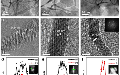 Science:氧还原反应——超高质量比活性的超细锯齿状Pt纳米线