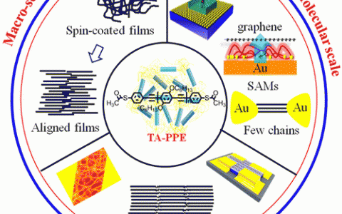Acc. Chem. Res. 胡文平课题组综述:共轭聚合物电子传输的多级研究