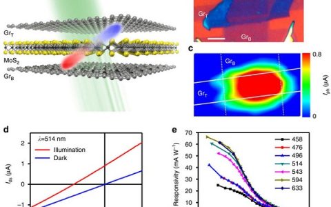 Nature子刊:通过穿透离散势垒实现单层范德瓦尔斯异质结的高效光电流输出