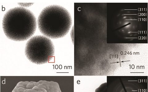Adv. Mater.:通过缺陷调控得到具有超灵敏度表面增强拉曼光谱探测的单一超结构Cu2O