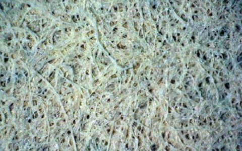 第一代纸基陶瓷制备的随机激光器出炉啦!