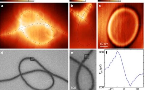 Nature:在量子系统中的耗散的纳米尺度热成像