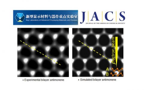 JACS曾海波&谢政:大产量合成、原子结构、优良光限幅性能让锑烯走出理论迷雾
