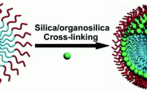 Chem. Soc. Rev. 施剑林综述:二氧化硅/有机硅交联嵌段共聚物胶束——多功能诊疗平台
