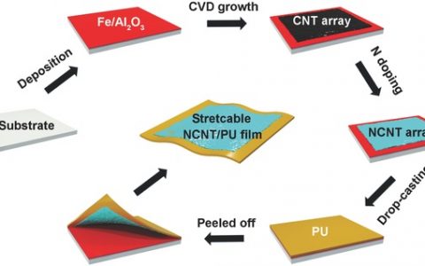 Adv. Energy Mater. :复旦彭慧胜-用于高度拉伸超级电容器的芯鞘层氮掺杂碳纳米管阵列
