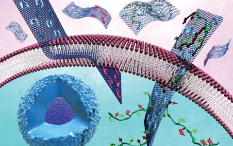 Nature经典综述:诺奖得主笔下的石墨烯蓝图!