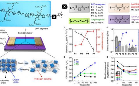 鲍哲南Nature:用于有机晶体管的本征可拉伸和可愈合半导体聚合物