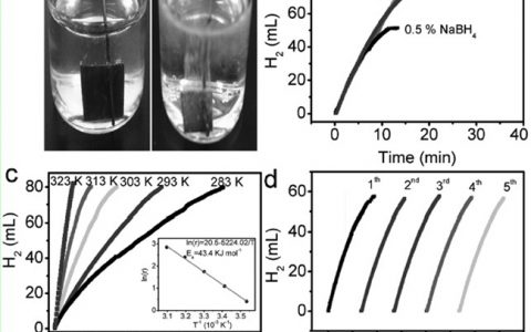 Adv. Mater:Fe-CoP纳米阵列-单片多功能高效产氢催化剂