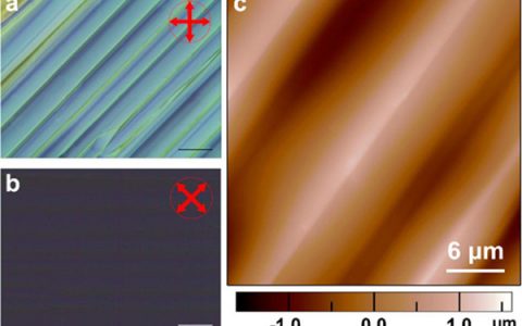 JACS:双轴向分子铁电薄膜中极化方向超快转向