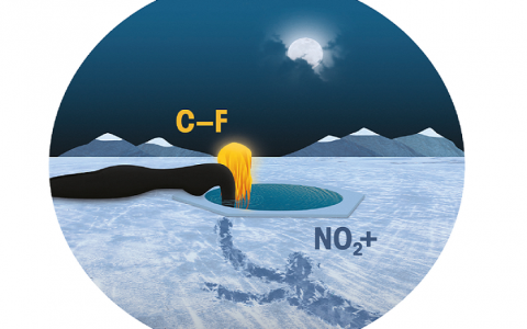 幸福美图 Angew. Chem. Int. Ed.封面爱情故事