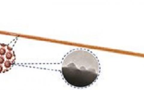 滚蛋吧水污染!纳米粒子可分解有机染料啦!